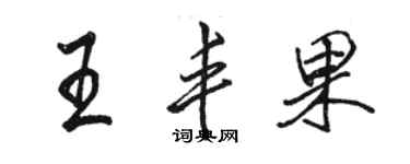 駱恆光王豐果行書個性簽名怎么寫