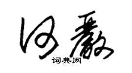 朱錫榮何嚴草書個性簽名怎么寫