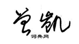 朱錫榮曾凱草書個性簽名怎么寫