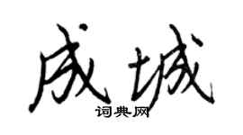 王正良成城行書個性簽名怎么寫