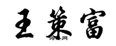 胡問遂王策富行書個性簽名怎么寫