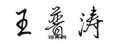 駱恆光王普濤行書個性簽名怎么寫