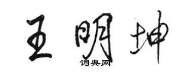 駱恆光王明坤行書個性簽名怎么寫