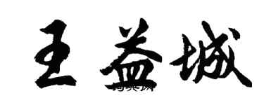 胡問遂王益城行書個性簽名怎么寫