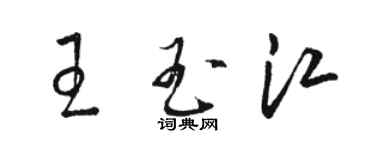 駱恆光王玉江草書個性簽名怎么寫