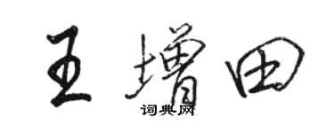 駱恆光王增田行書個性簽名怎么寫