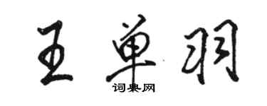 駱恆光王單羽行書個性簽名怎么寫