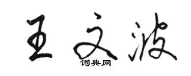 駱恆光王文波行書個性簽名怎么寫