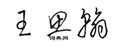 駱恆光王思翰草書個性簽名怎么寫