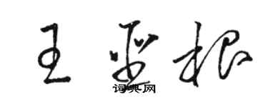 駱恆光王聖根草書個性簽名怎么寫