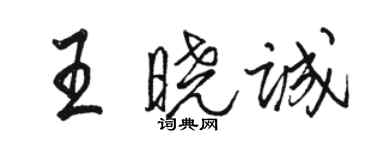 駱恆光王曉誠行書個性簽名怎么寫