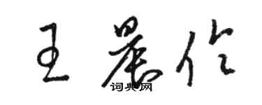 駱恆光王晨伶草書個性簽名怎么寫