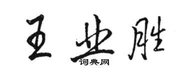 駱恆光王業勝行書個性簽名怎么寫