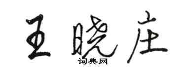 駱恆光王曉莊行書個性簽名怎么寫