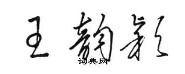 駱恆光王韻穎草書個性簽名怎么寫