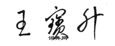 駱恆光王寶升草書個性簽名怎么寫