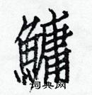 白克儉寫的硬筆楷書鱅