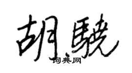 王正良胡驍行書個性簽名怎么寫