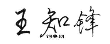 駱恆光王知鋒行書個性簽名怎么寫