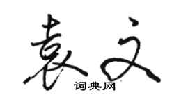 駱恆光袁文行書個性簽名怎么寫