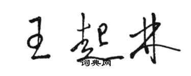 駱恆光王起林草書個性簽名怎么寫