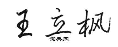 駱恆光王立楓行書個性簽名怎么寫