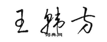 駱恆光王韓方草書個性簽名怎么寫