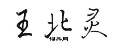 駱恆光王北靈行書個性簽名怎么寫