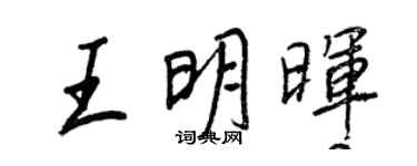 王正良王明暉行書個性簽名怎么寫