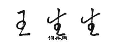 駱恆光王生生草書個性簽名怎么寫