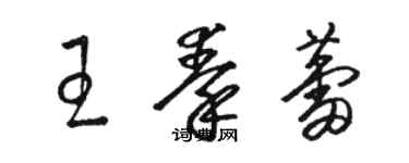 駱恆光王秦蕾草書個性簽名怎么寫