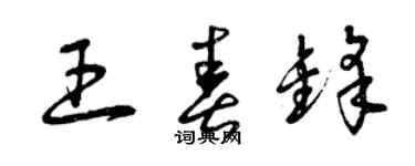 曾慶福王春鋒草書個性簽名怎么寫