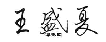 駱恆光王盛夏行書個性簽名怎么寫