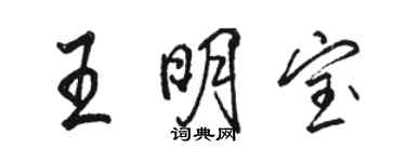 駱恆光王明寶行書個性簽名怎么寫