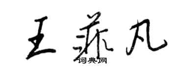 王正良王菲凡行書個性簽名怎么寫