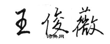 駱恆光王俊薇行書個性簽名怎么寫