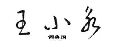 駱恆光王小永草書個性簽名怎么寫