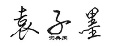 駱恆光袁子墨行書個性簽名怎么寫