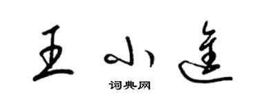 梁錦英王小進草書個性簽名怎么寫