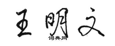 駱恆光王明文行書個性簽名怎么寫