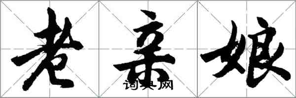 胡問遂老親娘行書怎么寫