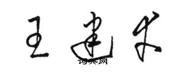 駱恆光王建幸草書個性簽名怎么寫