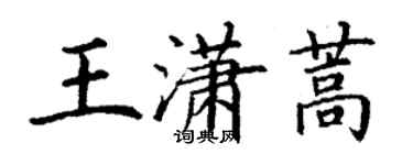 丁謙王瀟蒿楷書個性簽名怎么寫