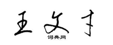 梁錦英王文才草書個性簽名怎么寫