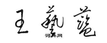 駱恆光王藝藍草書個性簽名怎么寫