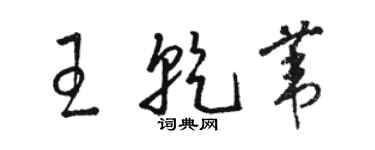 駱恆光王乾葦草書個性簽名怎么寫