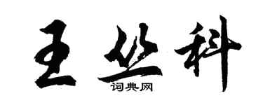 胡問遂王叢科行書個性簽名怎么寫