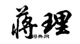 胡問遂蔣理行書個性簽名怎么寫