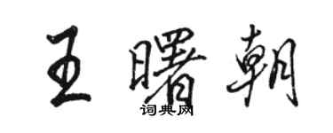 駱恆光王曙朝行書個性簽名怎么寫