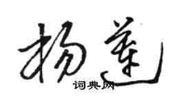 駱恆光楊蓮草書個性簽名怎么寫